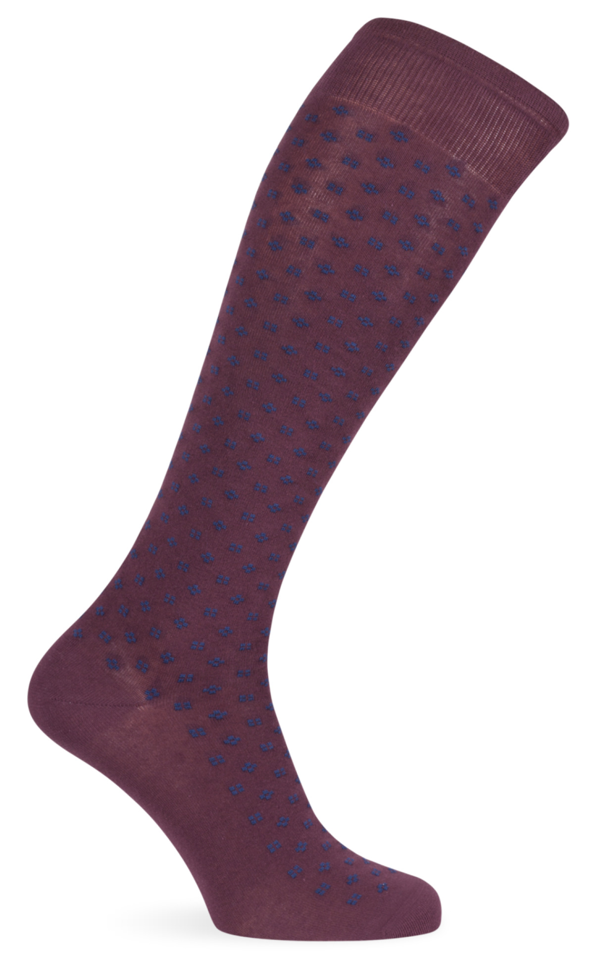 bordeaux/blu marine
